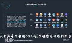 :在TPWallet里买币只能用BNB吗？了解您可以选择的