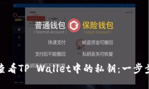 如何查看TP Wallet中的私钥：一步步详解