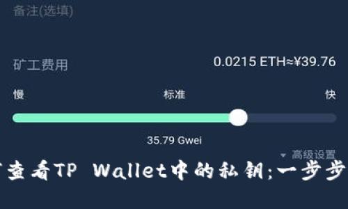如何查看TP Wallet中的私钥：一步步详解
