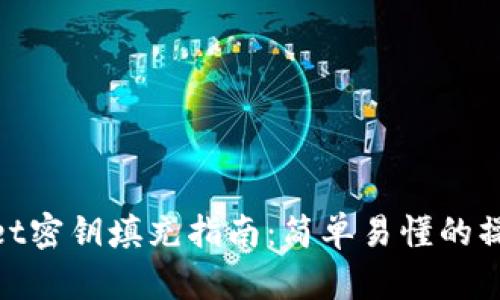 tpwallet密钥填充指南：简单易懂的操作步骤