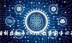 深入解析虚拟币CNYB：投资