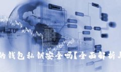 TPWallet生成的钱包私钥安全吗？全面解析与最佳保