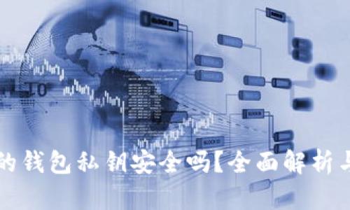 TPWallet生成的钱包私钥安全吗？全面解析与最佳保护措施