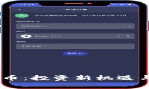 LEEK虚拟币：投资新机遇与风险解析