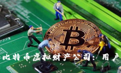 如何选择合适的比特币虚拟财产公司: 用户痛点与解决方案