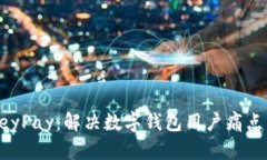 TPWalletKeyPay：解决数字钱包用户痛点的最佳选择