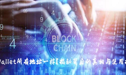 TPWallet所有地址一样？揭秘背后的真相与使用技巧