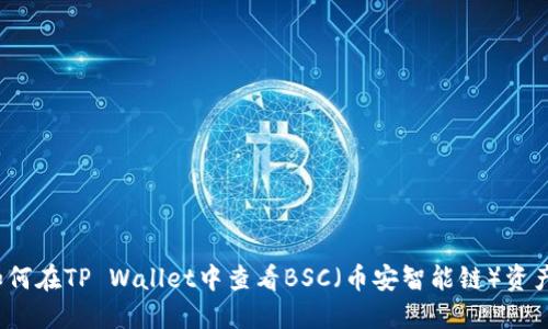 如何在TP Wallet中查看BSC（币安智能链）资产？