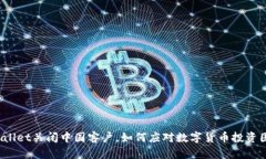 TPWallet关闭中国客户，如何应对数字货币投资困境