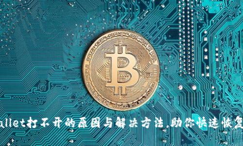 TPWallet打不开的原因与解决方法，助你快速恢复访问
