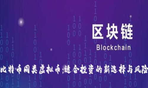 探索比特币同类虚拟币：适合投资的新选择与风险分析