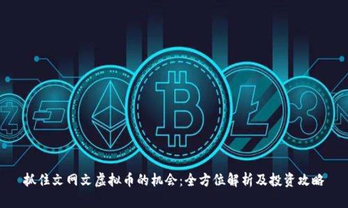 抓住文网文虚拟币的机会：全方位解析及投资攻略