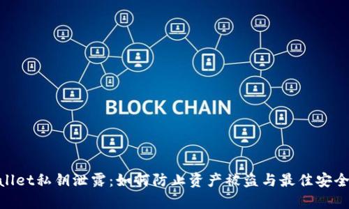 tpwallet私钥泄露：如何防止资产被盗与最佳安全措施