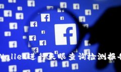 如何使用TPWallet进行天眼查