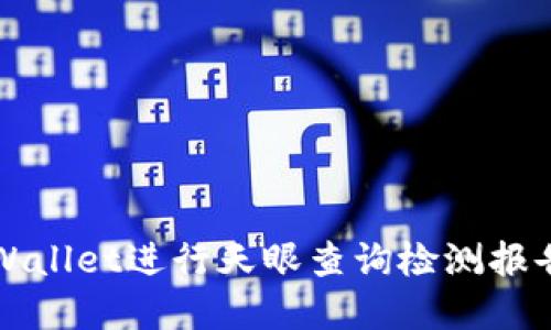 如何使用TPWallet进行天眼查询检测报告的实用指南