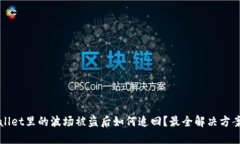 TPWallet里的波场被盗后如何