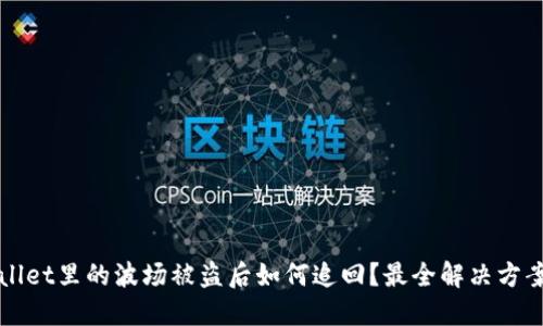 TPWallet里的波场被盗后如何追回？最全解决方案详解