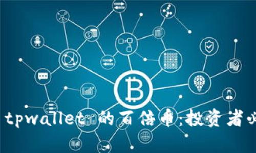深入了解 tpwallet 的百倍币：投资者必备的攻略