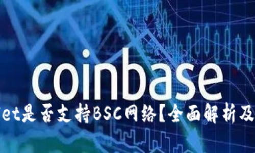 **TPWallet是否支持BSC网络？全面解析及用户指南