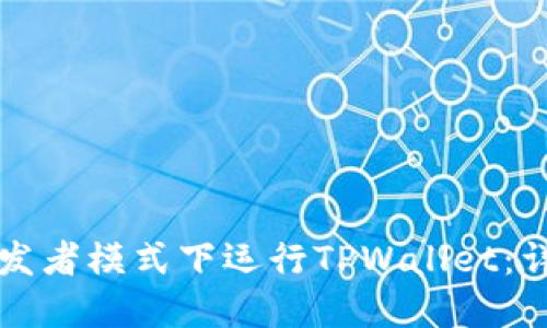 如何在开发者模式下运行TPWallet：详尽的指南