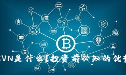 虚拟币CVN是什么？投资前必知的优势与风险