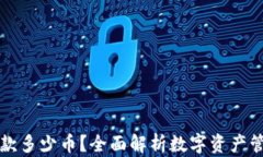 虚拟钱包可以收款多少币