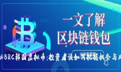 揭秘BRC韩国虚拟币：投资