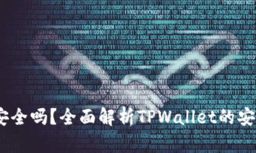 手机TPWallet安全吗？全面解析TPWallet的安全性与风险防范