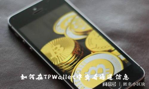 如何在TPWallet中查看通道信息