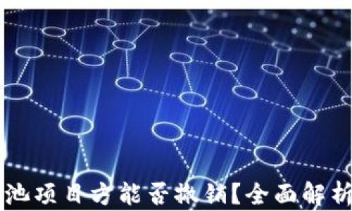 
TPWallet资金池项目方能否撤销？全面解析及投资者须知