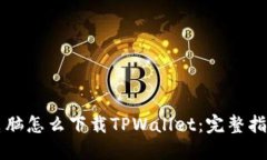 电脑怎么下载TPWallet：完整