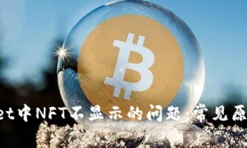 解决TP Wallet中NFT不显示的问题：常见原因与解决方案