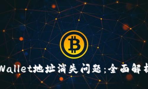 如何解决TPWallet地址消失问题：全面解析与解决方案