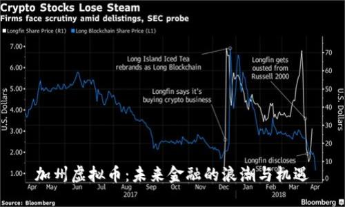 加州虚拟币：未来金融的浪潮与机遇