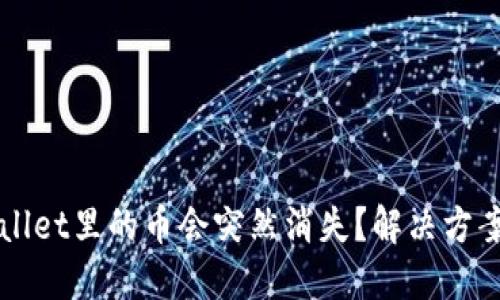 为什么TPWallet里的币会突然消失？解决方案与预防措施