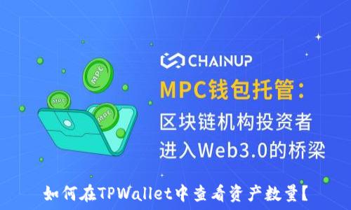   
如何在TPWallet中查看资产数量？
