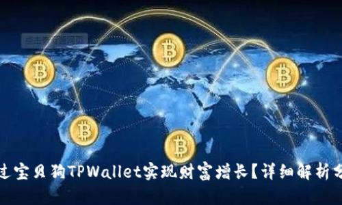 如何通过宝贝狗TPWallet实现财富增长？详细解析分红机制