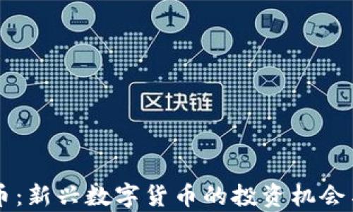 
虚拟西瓜币：新兴数字货币的投资机会与风险解析