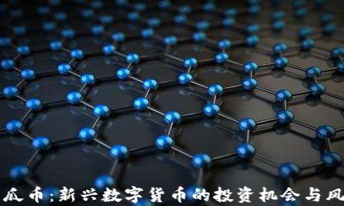 
虚拟西瓜币：新兴数字货币的投资机会与风险解析