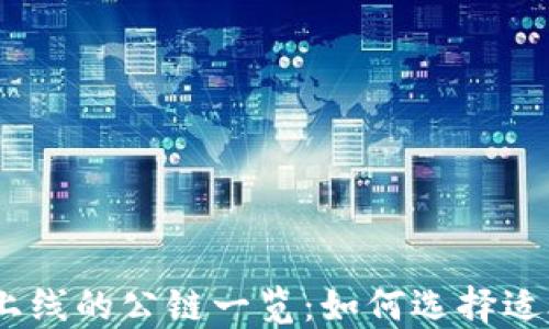 
能在TPWallet上线的公链一览：如何选择适合的区块链平台