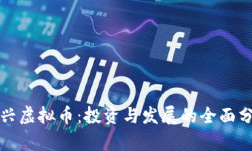 博兴虚拟币：投资与发展的全面分析