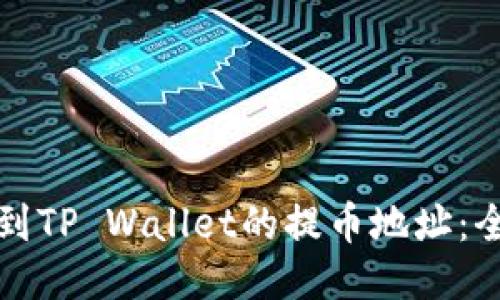 如何找到TP Wallet的提币地址：全面指南