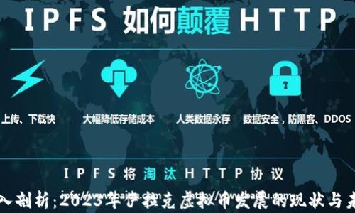 
深入剖析：2023年伊拉克虚拟币发展的现状与未来
