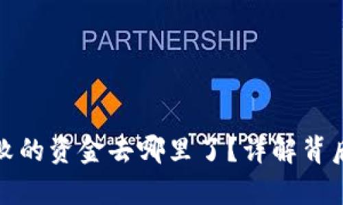 tpwallet交易失败的资金去哪里了？详解背后原因及解决方案