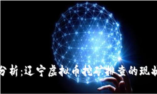 : 深度分析：辽宁虚拟币挖矿排查的现状与未来