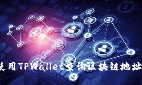 如何使用TPWallet查询区块链地址信息？