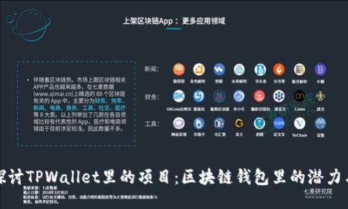 深入探讨TPWallet里的项目：区块链钱包里的潜力与机遇