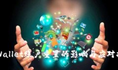 TPWallet账户重置的影响与应对指南