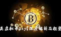 什么是虚拟币Sky？深度解