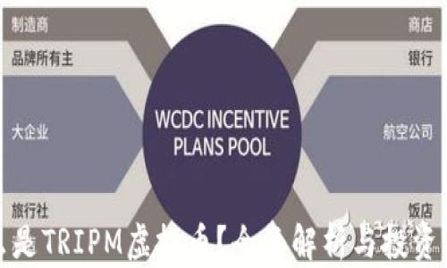 
什么是TRIPM虚拟币？全面解析与投资前景